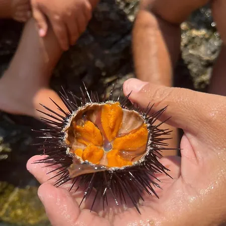 Ancora Del Sud