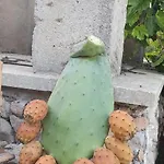 Ancora Del Sud