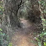 Ancora Del Sud Otranto