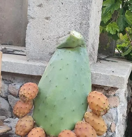 Ancora Del Sud