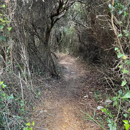 Ancora Del Sud Οτράντο